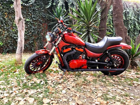 1997 SUZUKI VS800GLV INTRUDER